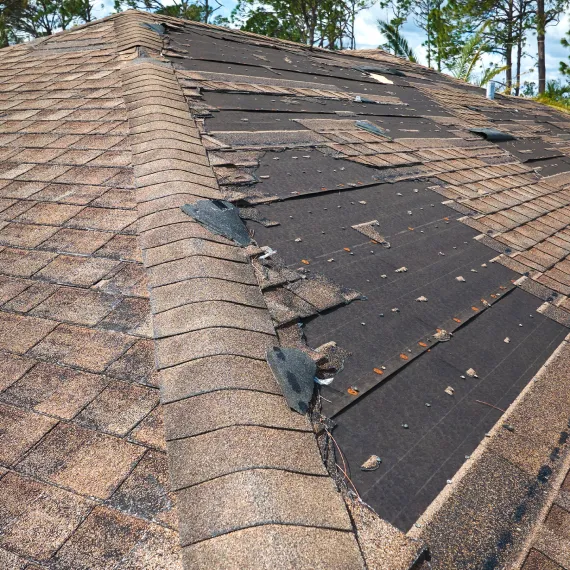 Storm Damage & Insurance Claims